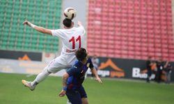 Diyarbekirspor, Trabzon engelini aşamadı: 0-1