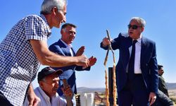 Dicle 1. Bağ Bozumu Festivali yapıldı