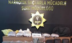 Şanlıurfa'da 15 kilo 550 gram skunk ele geçirildi