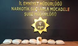 Şanlıurfa'da 15 kilo 600 gram skunk ele geçirildi