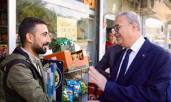 Diyarbakır Valisi Lice'de
