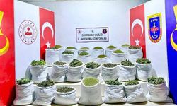 Lice'de 1 ton 640 kilo esrar ele geçirildi