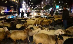 Diyarbakır'da bu ihlali polis ve zabıta cezalandıracak