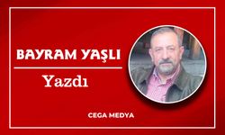 Cega Medya yazarı Bayram Yaşlı, Ankara'da yaşananları yazdı