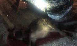 Diyarbakır'da otomobilin çarptığı mandalar telef oldu