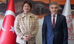 Diyarbakır Milletvekili Ataman, Genç'i ziyaret etti