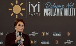 Akşener: Partimize kurumsal operasyon var