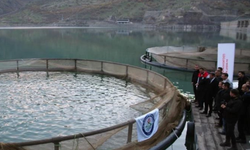 Baraj Gölü'ne 75 bin yavru bırakıldı