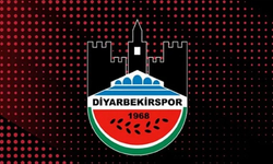 Diyarbakırspor teknik direktörünü buldu