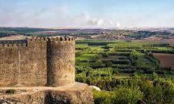 Diyarbakır'da 1800 yıllık ameliyat aletleri bulundu