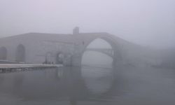 Malabadi Köprüsü sisle kaplandı