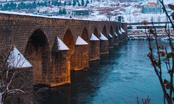 Diyarbakır’ı onlar da terk edip gurbete gitti