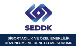 SEDDK 2 sigorta şirketine el koydu