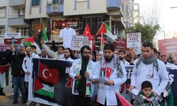 Siirt'te doktorlar Filistin için yürüdü