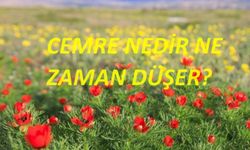 Cemre'nin ne anlama geldiğini biliyor musunuz?