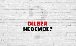 Dilber ne demek?