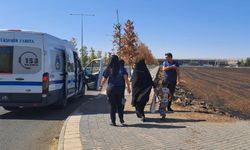 Diyarbakır'da geçen yıl 8 bin 367'sine müdahale edildi
