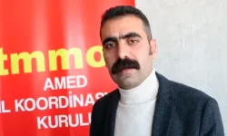 Diyarbakır'da eş başkan adayı Doğan Hatun kimdir?
