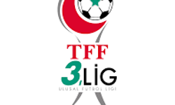 TFF 3. Lig takımlarının puanları