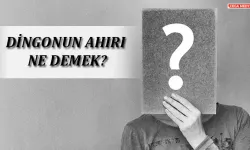 Dingonun ahırı ne demek?