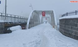 Ardahan'da soğuk ve sis