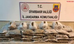 Diyarbakır’da 67 kilo esrar ele geçirildi