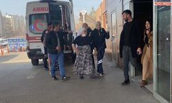 Diyarbakır’da yaşlı kadına besledikleri köpek saldırdı