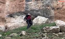 Kayalıklarda keçi kurtarma