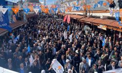 AK Parti Diyarbakır adayı: Molotofa, mermiye, silaha talip olmadık