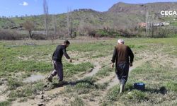 Dere taştı, çilek bahçelerini su bastı