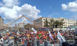 Diyarbakır’da 8 Mart mitingi