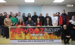 Amed Emek ve Demokrasi Platformu Newroz’u kutladı