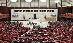 Sokak hayvanlarını “uyutma yasası” TBMM Genel Kurulu’nda kabul edildi