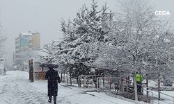 Erzurum’da kar yağışı: 147 köy yolu ulaşıma kapandı