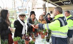 "Eski çiçeğini getir, yenisini götür"