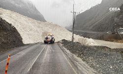 Hakkari-Şırnak yoluna çığ düştü