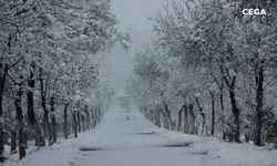 Diyarbakır'a kar yağışı uyarısı