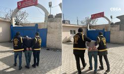 Mardin'de havaya ateş edenler tutuklandı