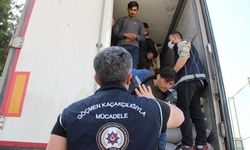 Mercimekler arasında 40 kaçak göçmen çıktı