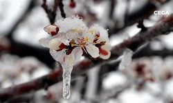 Meteorolojiden don uyarısı