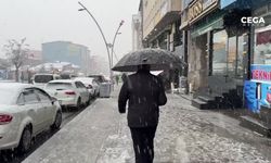 Muş'ta kar yağışı: 102 köy yolu ulaşıma kapandı