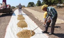 Siirt'te tarımsal desteklemeler 201 milyon lirayı buldu