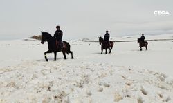 Van’da 108 düzensiz göçmen yakalandı