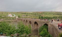 Diyarbakır'da ekosistemi bozunca yakıldılar