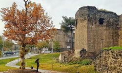 Diyarbakır'ın gözdesiydi ve destanı vardı