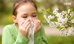 Sürekli maruz kalınan alerjenler kronik hastalıklara neden olabilir