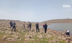 Diyarbakır’da kaybolan çoban için arama çalışması