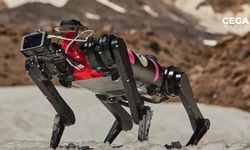 Robot köpeklerin aya yolculuğu