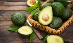 Avokado yemek kan şekeri seviyesini koruyup, dengeli beslenmeyi destekliyor