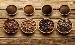 Kahve vücudumuza nasıl etki ediyor?